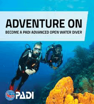 Padi discover scuba diving